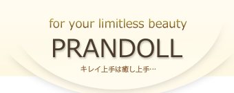 【PRANDOLL】プロンドール